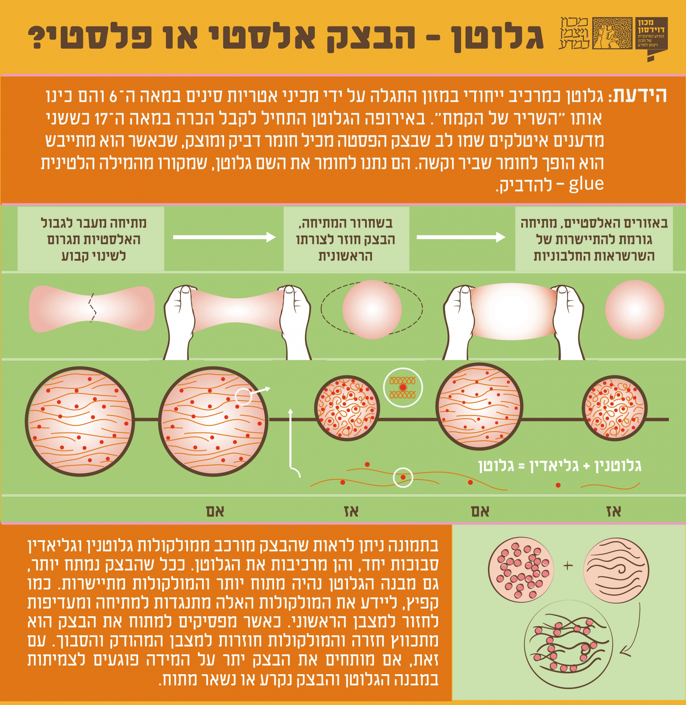 אינפוגרפיקה