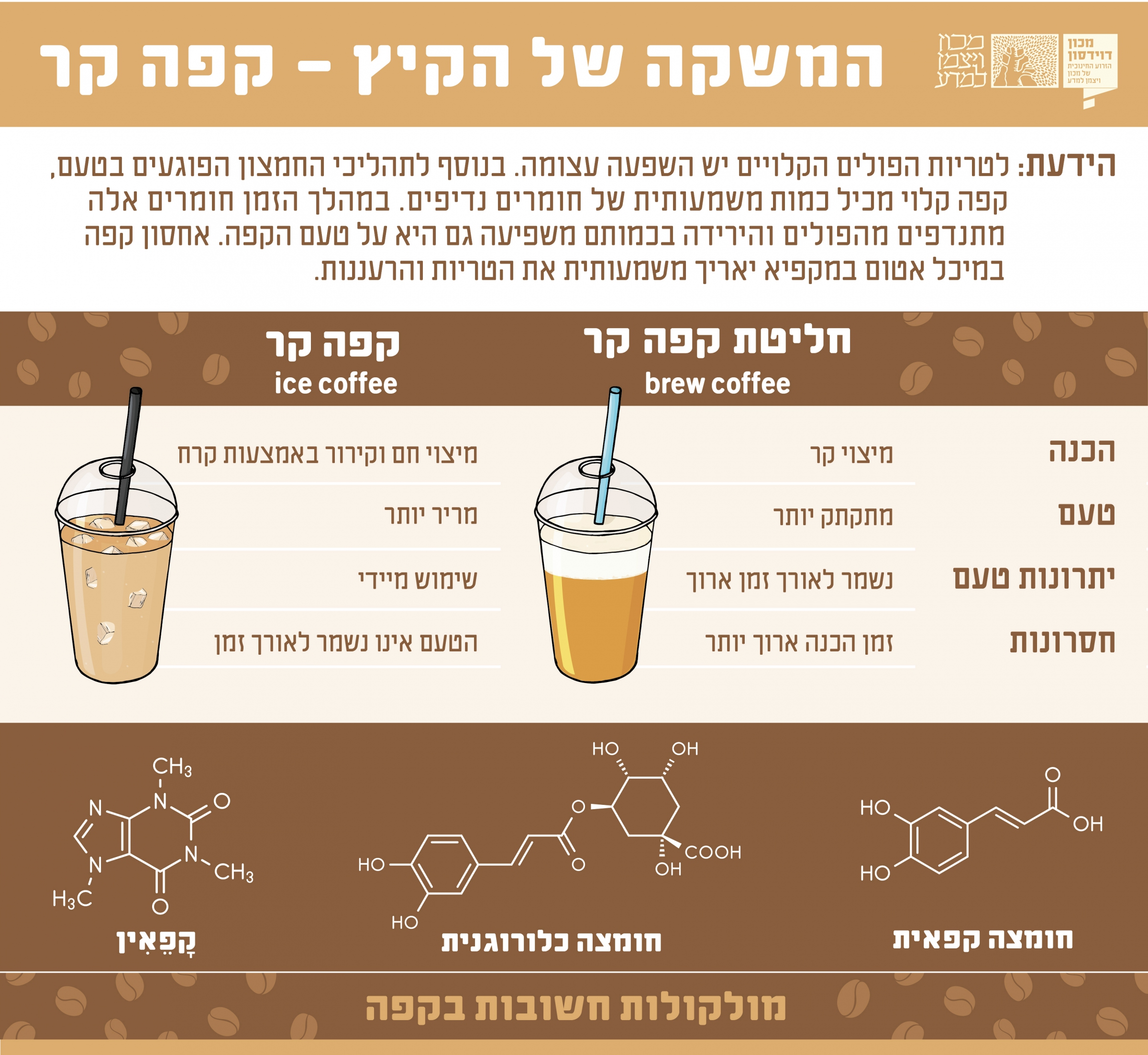 אינפוגרפיקה