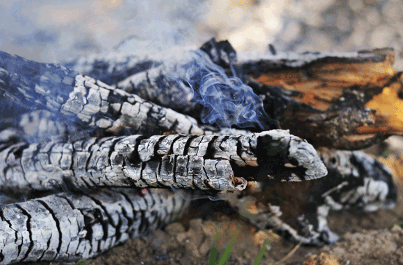ללא להבה. עצים שרופים מעלים עשן ללא אש נראית לעין | Shutterstock, By Natalya Kalyatina