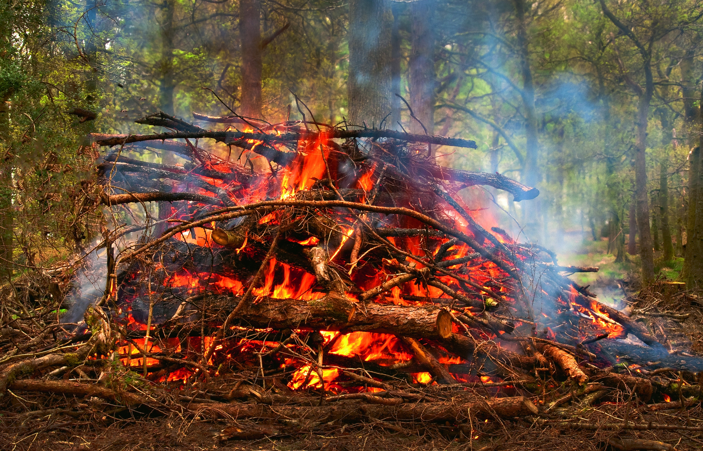 טמפרטורת הבעירה של עץ אינה מספיקה לשריפה מושלמת, לכן נפלט מהמדורה עשן המכיל חלקיקי פחמן וגזים רעילים | צילום: Shutterstock