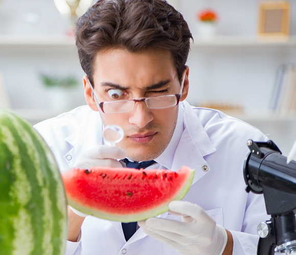 مسألة فيزيائيّة. الاختبار العلميّ لقطعة البطّيخ | تصوير توضيحيّ: Elnur, Shutterstock