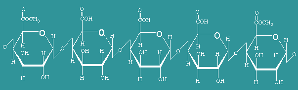 مثال على مقطع قصير من جزيء البكتين | رسم توضيحي: Neta، ويكيبيديا