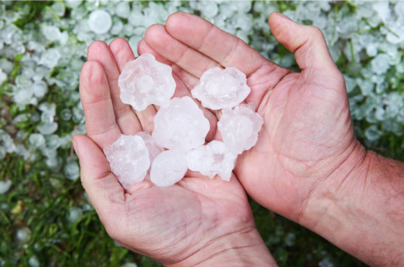 אדם מחזיק בידיו כדורי ברד גדולים במיוחד | Shutterstock, Suzanne Tucker