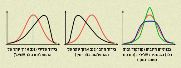 גרפים של גבנוניות ושל צידוד חיובי ושלילי