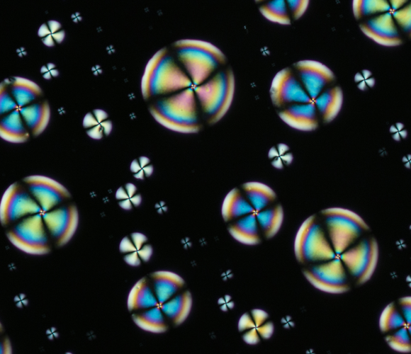 Flüssigkristalltropfen unter dem Mikroskop | Karl Gaff, Science Photo Library