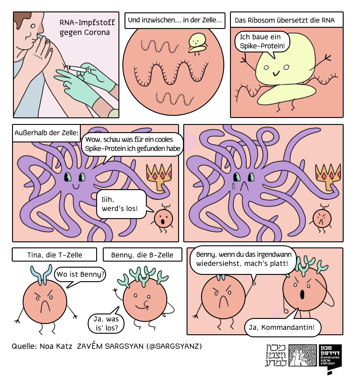 Wie funktioniert die Impfung mit mRNA? Comic-Design: Noa Katz, nach Tweet von Zavén Sargsyan