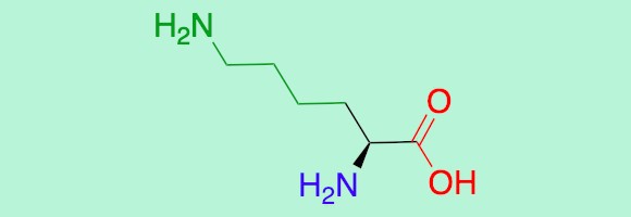 Aminosäure Lysin: Carboxylrest (in rot), Amin (in blau) und die Seitenkette (in grün). Graph: Daniel Seidmann