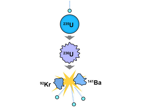 ​Beispiel für eine Kernspaltung: Ein Neutron erschüttert die Stabilität des Kerns, und das Uran spaltet sich in Krypton und Barium unter Freisetzung von drei Neutronen | Illustration: Fastfission, Wikipedia, gemeinfrei