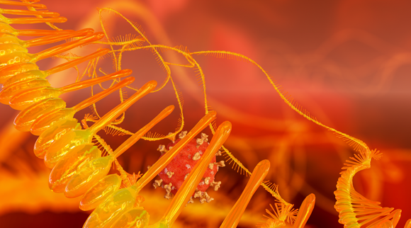 Abbildung eines Coronavirus neben einem mRNA Molekül. Mike Mareen, Shutterstock