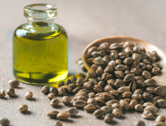 يكاد مستحيلًا تحديد أيّ شيء عنه في غياب الدّراسات الّتي قامت بفحص تأثير استهلاكه على الإنسان. زيت القنب - تصوير: Shutterstock