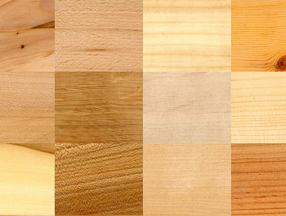 עצים שונים – חומר מרוכב מהטבע | מקור: ויקיפדיה, יוצר: Anonimski