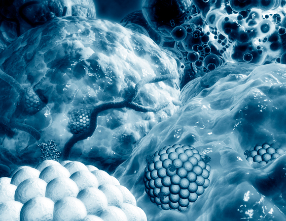 חלקיקים זעירים שחודרים ביעילות לתוך תאי הסרטן, ומשמידים אותם בלבד | הדמיה: Science Photo Library