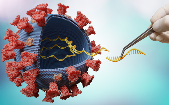 הרצף הגנטי פוענח תוך ימים אחדים מזיהוי הנגיף. ה-RNA של נגיף קורונה | איור: vchal, Shutterstock