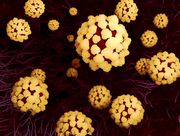 נגיפי קורונה רואים עולם בריאות של אדם | איור: JUAN GAERTNER / SCIENCE PHOTO LIBRARY