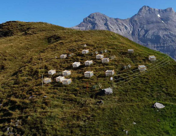 כלובי הרשת במרומי ההרים | P. Descombes