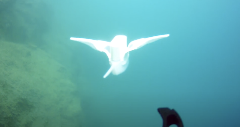 מתוך סרטון של NPG Press