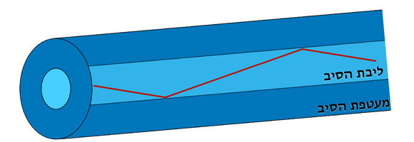 מבנה הסיב האופטי: ליבה מוקפת במעטפת בעלת מקדם שבירה נמוך | תרשים: יובל רוזנברג