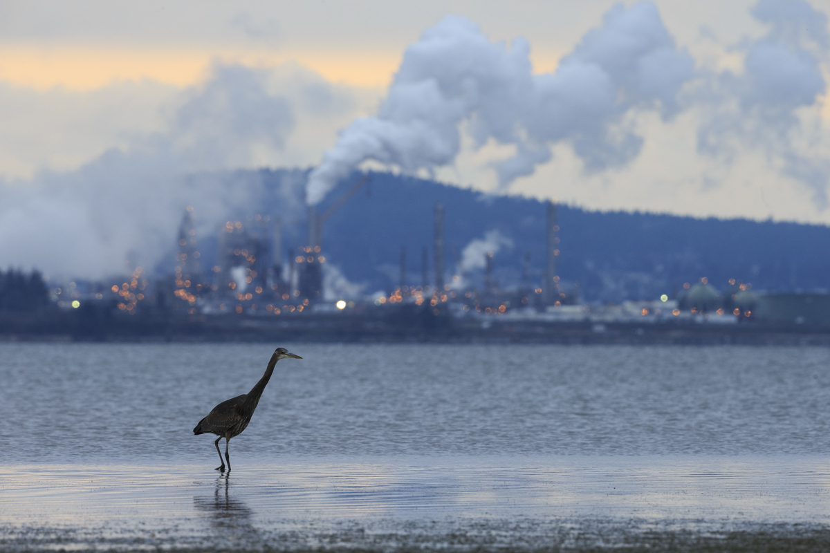 צילום: Gerrit Vyn