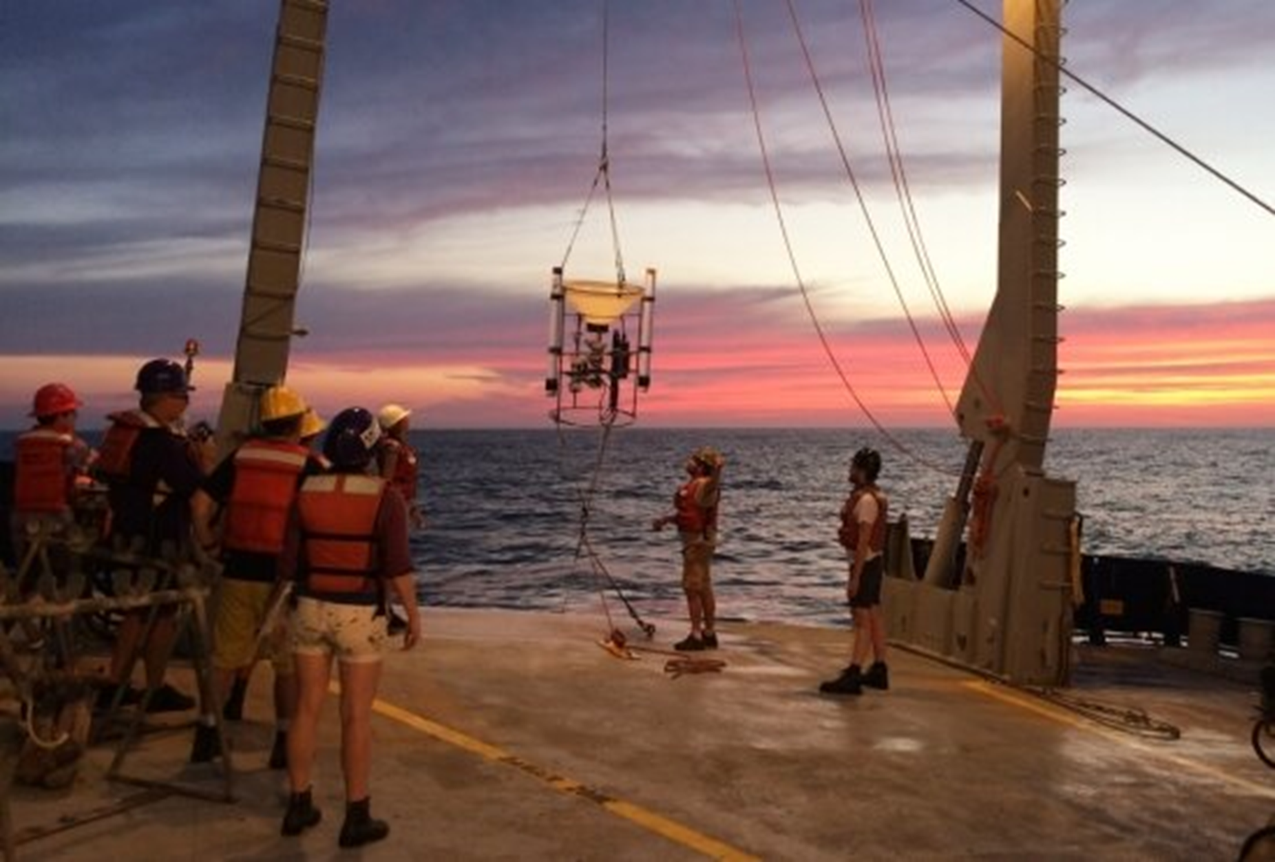 בתמונה: חוקרים אוספים דגימות מהאוקיינוס קרדיט Morgan Raven