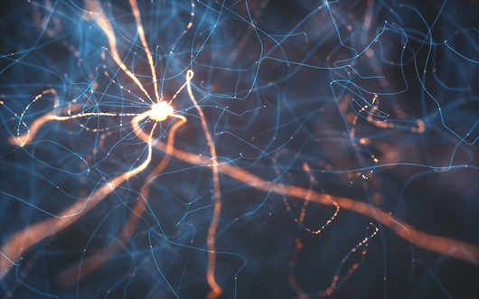 אילוסטרציה: KTSDESIGN / SCIENCEPHOTOLIBRARY