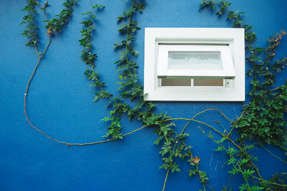 يكفي تركُ شبّاك الحمّام أو المرحاض مفتوحًا بعض الشّيء.| تصوير: Arak Pannoi, Shutterstock