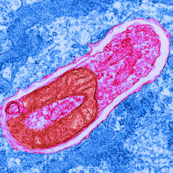 מאת נושא התקבל גודל קטגוריות Aurelie Lachish-Zalait RE: פנייה מרכזת מחוננים בדלית אל כרמל 2:00 PM 60 KB