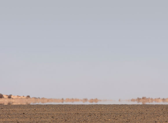 אשליה שנובעת מהבדלי הטמפרטורות בין שכבות האוויר. פאטה מורגנה (מיראז') במדבר בלוב | צילום: DAVID PARKER / SCIENCE PHOTO LIBRARY