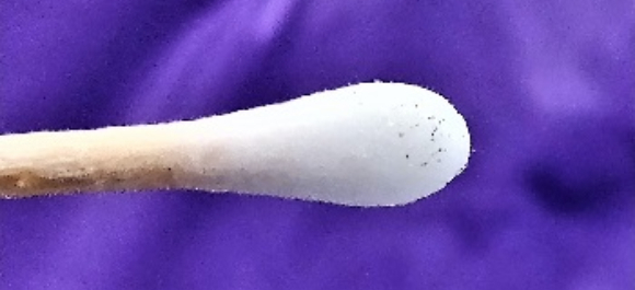 ההתקנים נראים כגרגירי אבק בקצה של מקלון אזניים | צילום: Johns Hopkins University