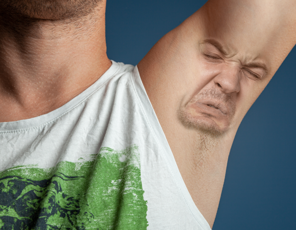 בית שחי ריחני | איור: ADragan, Shutterstock