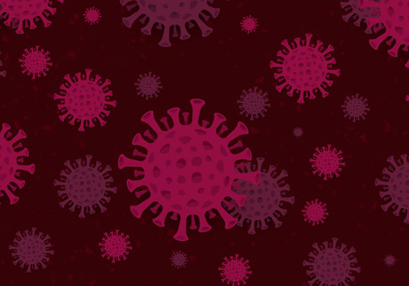 צריך להתאים את הגישה לנגיף המתפרץ. נגיפי קורונה | איור: emojoez, Shutterstock