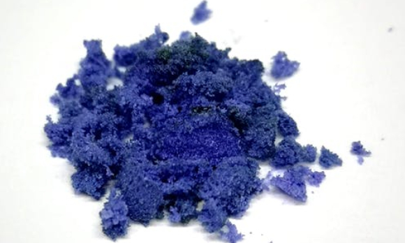 בניגוד לכחולים מעולם החי והצומח, הפיגמנט החדש נשאר יציב ואינו מתפרק | צילום: E.L. BASTOS