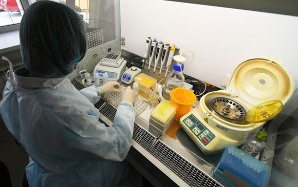 דרושה היכרות טובה עם הביולוגיה של הנגיף. מחקר על נגיף הקורונה החדש | צילום: SPUTNIK / SCIENCE PHOTO LIBRARY