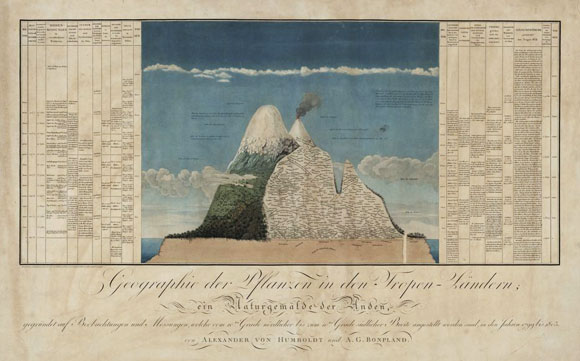 כל הפרטים משתבצים בתמונה הכללית של הטבע. הר צ'ימבורסו ומפת החיים עליו, לפי גובה, שצייר הומבולדט