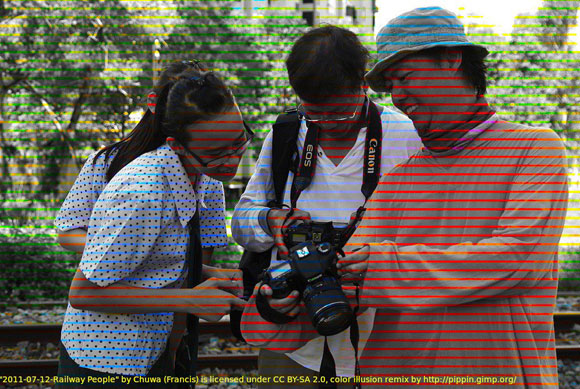 התמונה בשחור-לבן, והפסים גורמים למוח לפרשה כצבעונית | מקור: Manuel Schmalsteig CC-BY-2.0/Øyvind Kolås