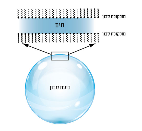 מבנה בועת סבון