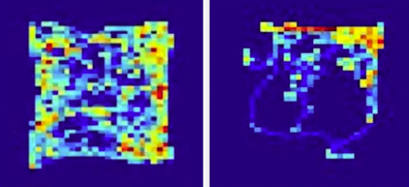 העכברים המהונדסים (מימין) שהו יותר ברבע הימני העליון, בעוד לעכברי הביקורת לא הייתה העדפה | מקור: Albert Einstein College