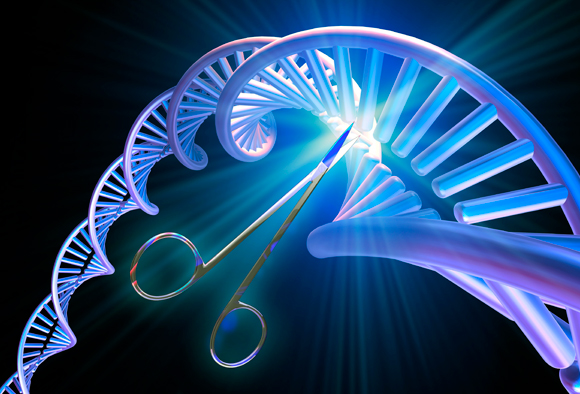 כל מוטציה שנוצרת מחוץ לאתר המטרה עלולה לגרום לבעיות רפואיות, כולל נטייה לסרטן | איור: Science Photo Library