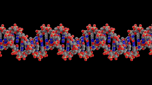 מולקולת DNA | איור: RESEARCH VISUALIZED / SCIENCE PHOTO LIBRARY