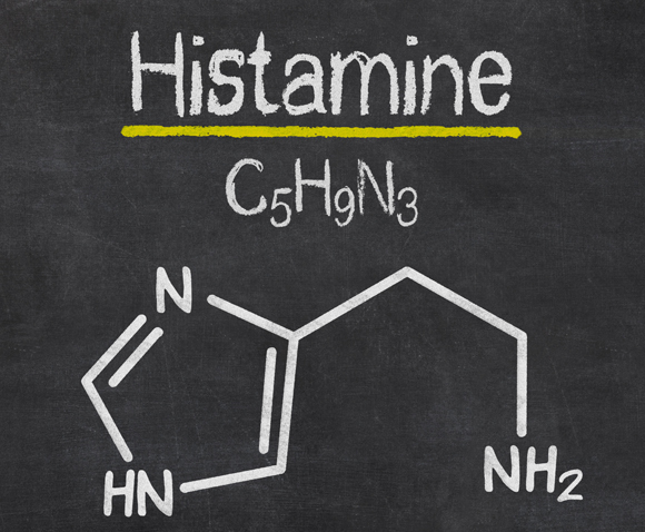 היסטמין | איור: Zerbor, Shutterstock