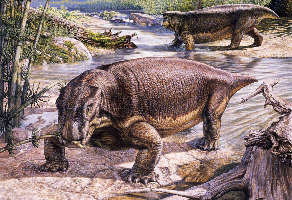 ליסטרוזאורוס בעיני אמן | איור: JOHN SIBBICK / SCIENCE PHOTO LIBRARY