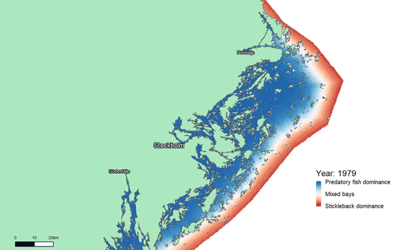 הים האדום: התרחבות האזורים שבשליטת העוקצנים (באדום) לאורך השנים | איור: Mårten Erlandsson, Swedish University of Agricultural Sciences