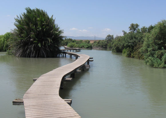 שמורת עין אפק, לא רחוק מעכו | צילום: ויקיפדיה, Ori