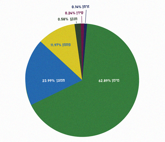 שכיחות היסודות העיקריים בגוף האדם (עוד 0.18 אחוז אינם בגרף) | איור: עמית שרגא, מריה גורוחובסקי
