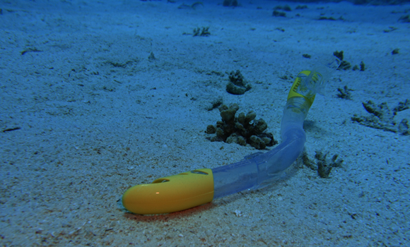 פסולת פלסטיק על קרקעית האוקינוס | Shutterstock, Franziska Reinhardt