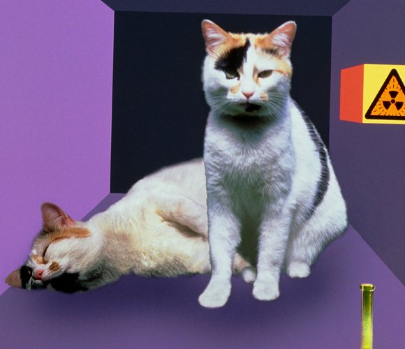 ניסוי "החתול של שרדינגר" מדגים סופרפוזיציה ושזירה קוונטית | איור: MEHAU KULYK / SCIENCE PHOTO LIBRARY