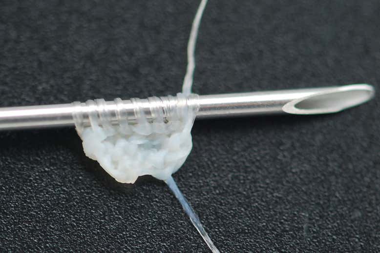 החוט הביולוגי החדש, מתוך המאמר (Magnan et al., Acta Biomater. (2020