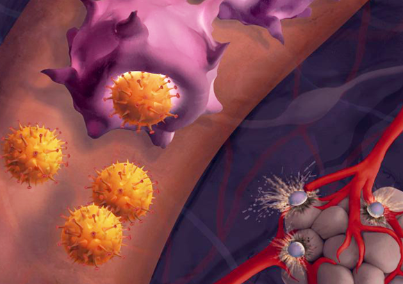 × × ×-××ס×× ××××ר ×ת ×ר××ש×ת ×©× ×¡×¨×× ××¢×ר ×××××× ×תרפ×× ×××××× ×××¨× ×ª×× ×סר×× | ×××ר: ××¢×× ×ר××, ××× ' ת"×