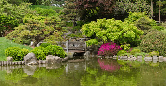 סיור בין כ-14,000 מיני צמחים. הגן הבוטני בברוקלין | צילום: King of Hearts, ויקיפדיה