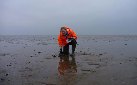 החוקרת ג'ניפר וולש אוספת דגימות בים ואדן | NIOZ