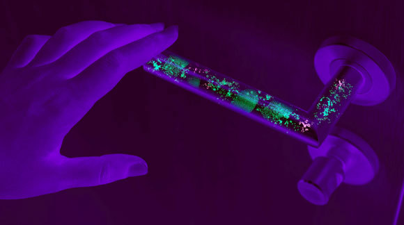 כדאי לחטא בתדירות גבוהה משטחים שרבים נוגעים בהן, כמו ידיות של דלתות | איור: Dubo, Shutterstock